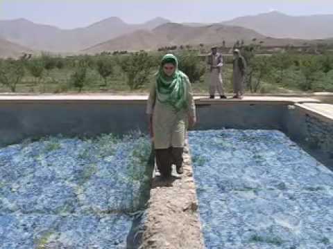 postcards from tora bora afghanistan film documentario