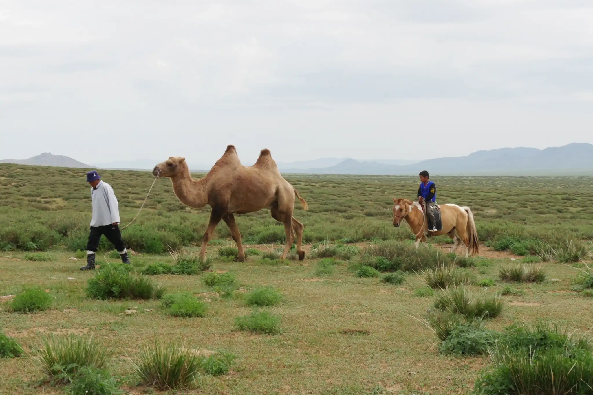 culture mongolia reportage porcelloni chulanbaatar 4