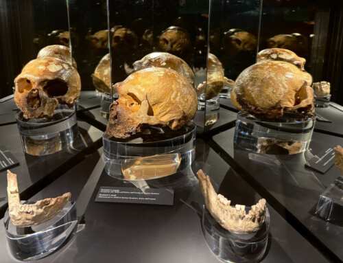 Prospettiva Neanderthal: come i reperti di Grotta Guattari ci raccontano la nostra storia