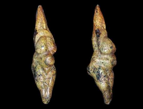 Una donna senza tempo: la Venere di Savignano