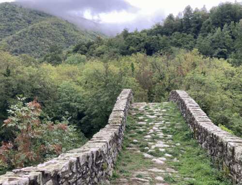 Walking on the Via Francigena. Identity and Connections of a Cultural Route