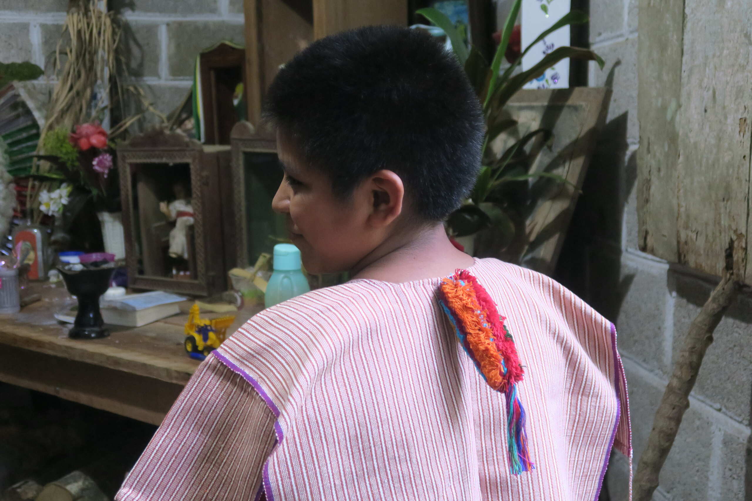 anthroday roma sapienza muciv messico lupo bellomia